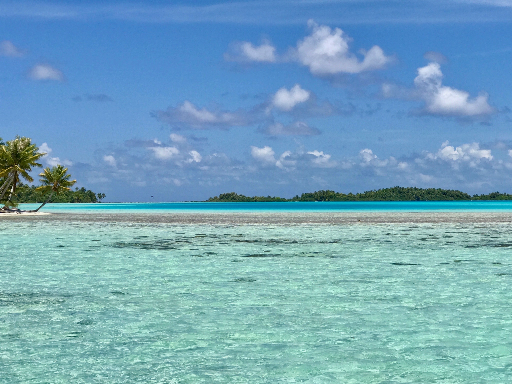 Destination: Rangiroa, French Polynesia! | Turtle Creek Lane